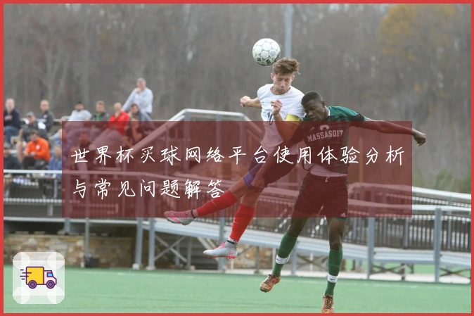 世界杯买球网络平台使用体验分析与常见问题解答