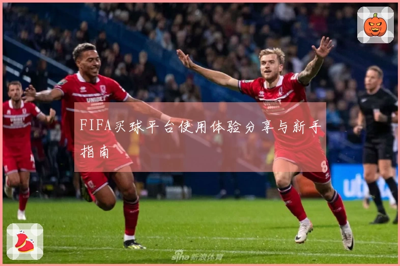 FIFA买球平台使用体验分享与新手指南