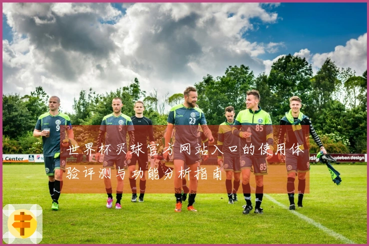 世界杯买球官方网站入口的使用体验评测与功能分析指南