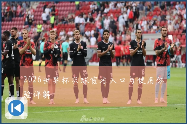 2026世界杯买球官方入口与使用体验详解