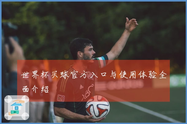 世界杯买球官方入口与使用体验全面介绍