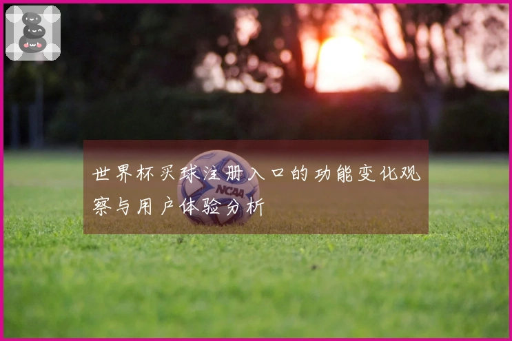 世界杯买球注册入口的功能变化观察与用户体验分析