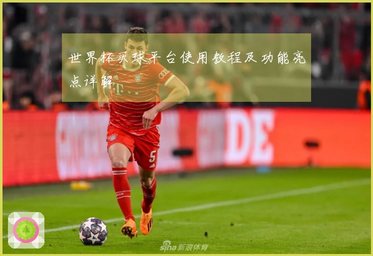 世界杯买球平台使用教程及功能亮点详解