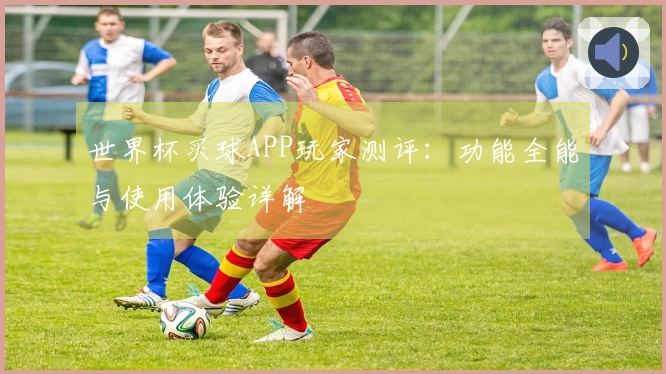 世界杯买球APP玩家测评：功能全能与使用体验详解