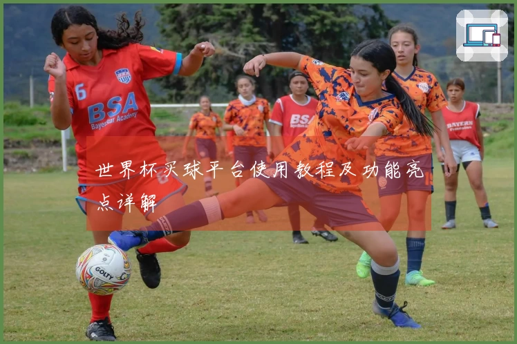 世界杯买球平台使用教程及功能亮点详解