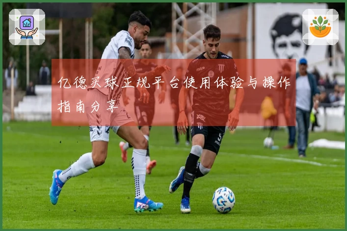 亿德买球正规平台使用体验与操作指南分享