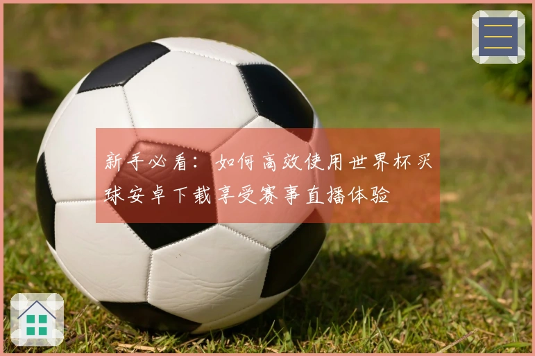 新手必看：如何高效使用世界杯买球安卓下载享受赛事直播体验