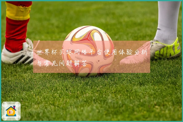 世界杯买球网络平台使用体验分析与常见问题解答