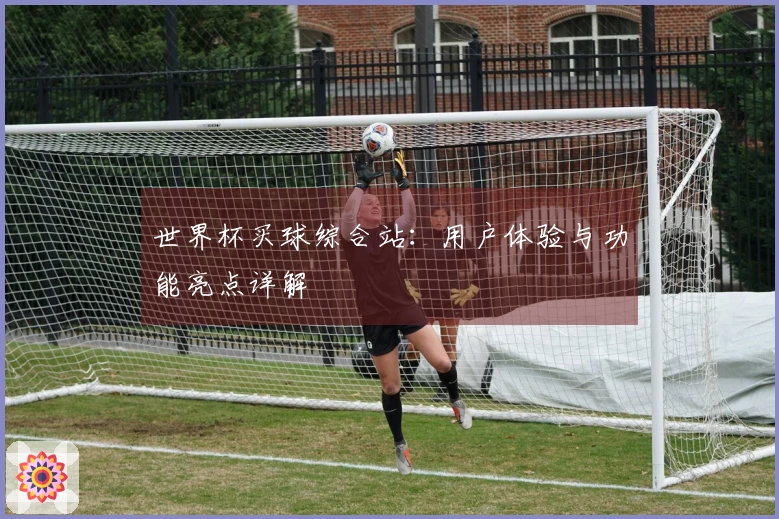 世界杯买球综合站：用户体验与功能亮点详解