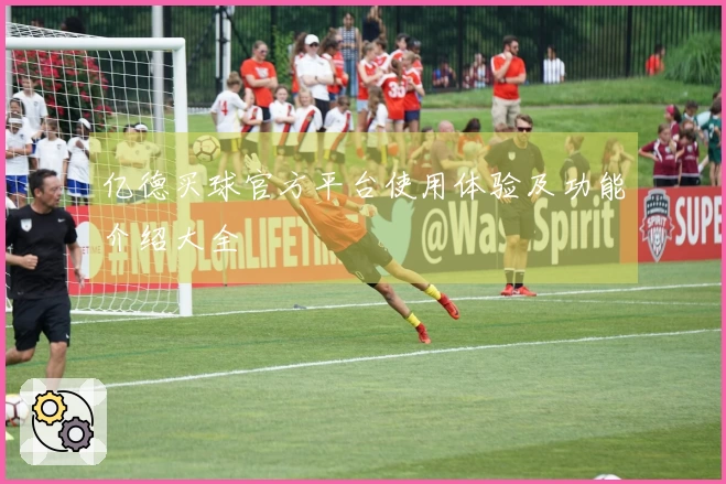 亿德买球官方平台使用体验及功能介绍大全