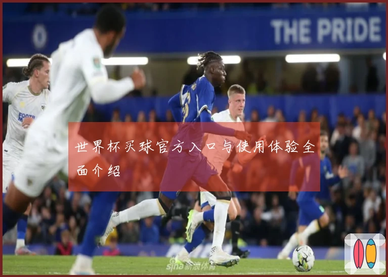 世界杯买球官方入口与使用体验全面介绍