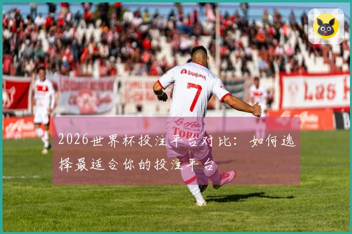 2026世界杯投注平台对比：如何选择最适合你的投注平台