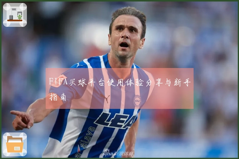 FIFA买球平台使用体验分享与新手指南