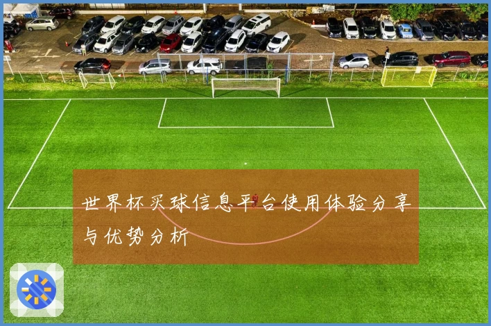 世界杯买球信息平台使用体验分享与优势分析